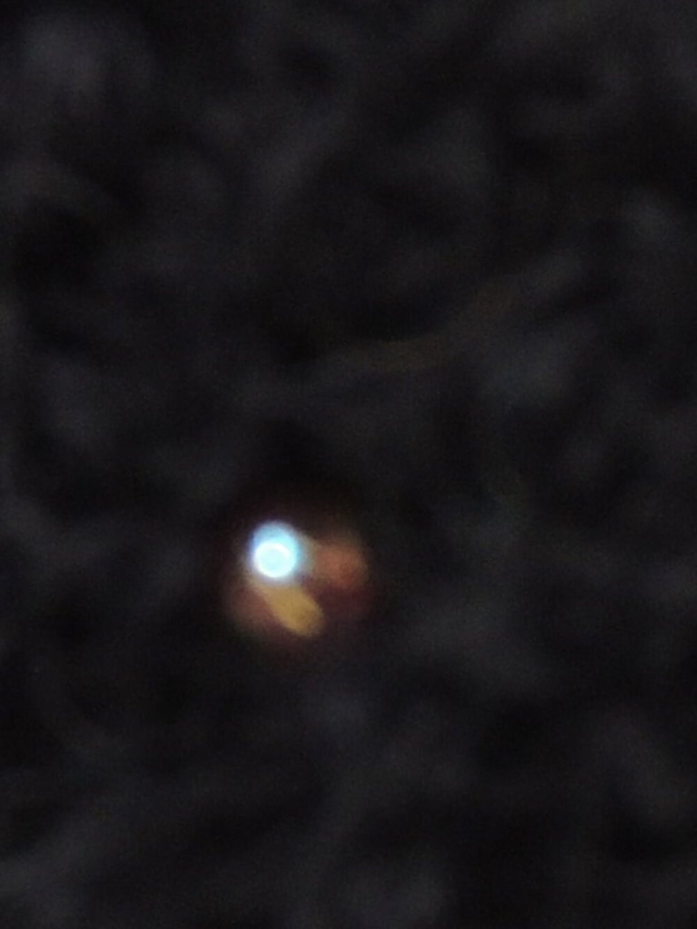 Buttfreckle - Picture 4 of 7